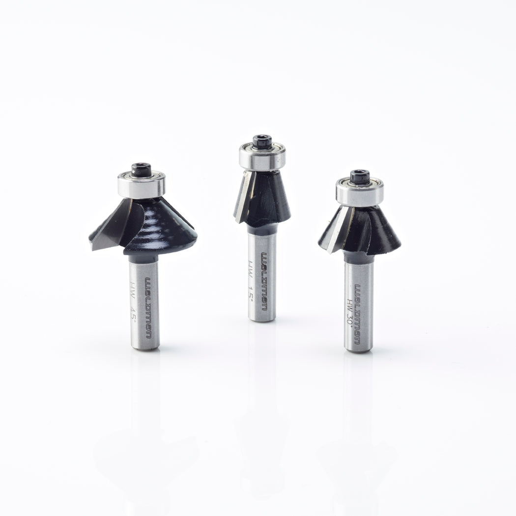 HW kantenfrees D19*13*8 Z=2 R 15° + lager